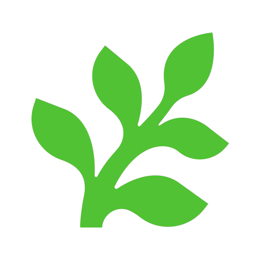 Fern